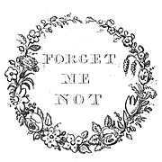 Forget Me Not vignette